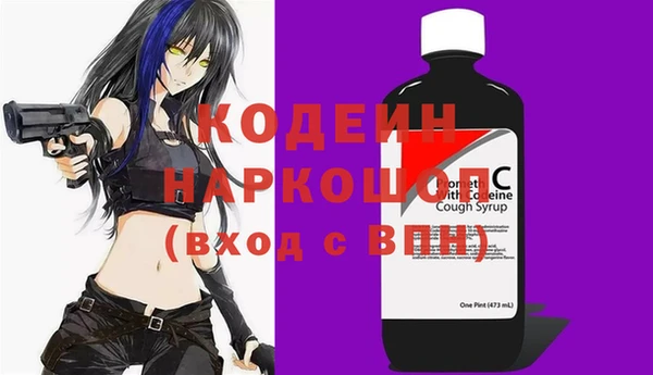 шишки Билибино