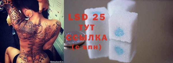 mdpv Новодвинск