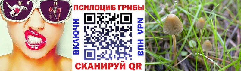 Псилоцибиновые грибы ЛСД  Сергач 
